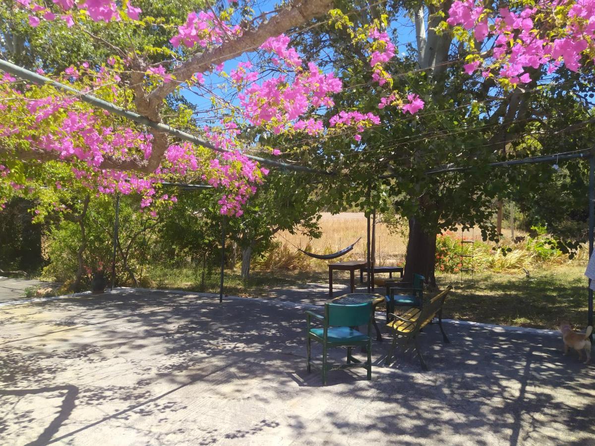 Farm stay K Kalavarda